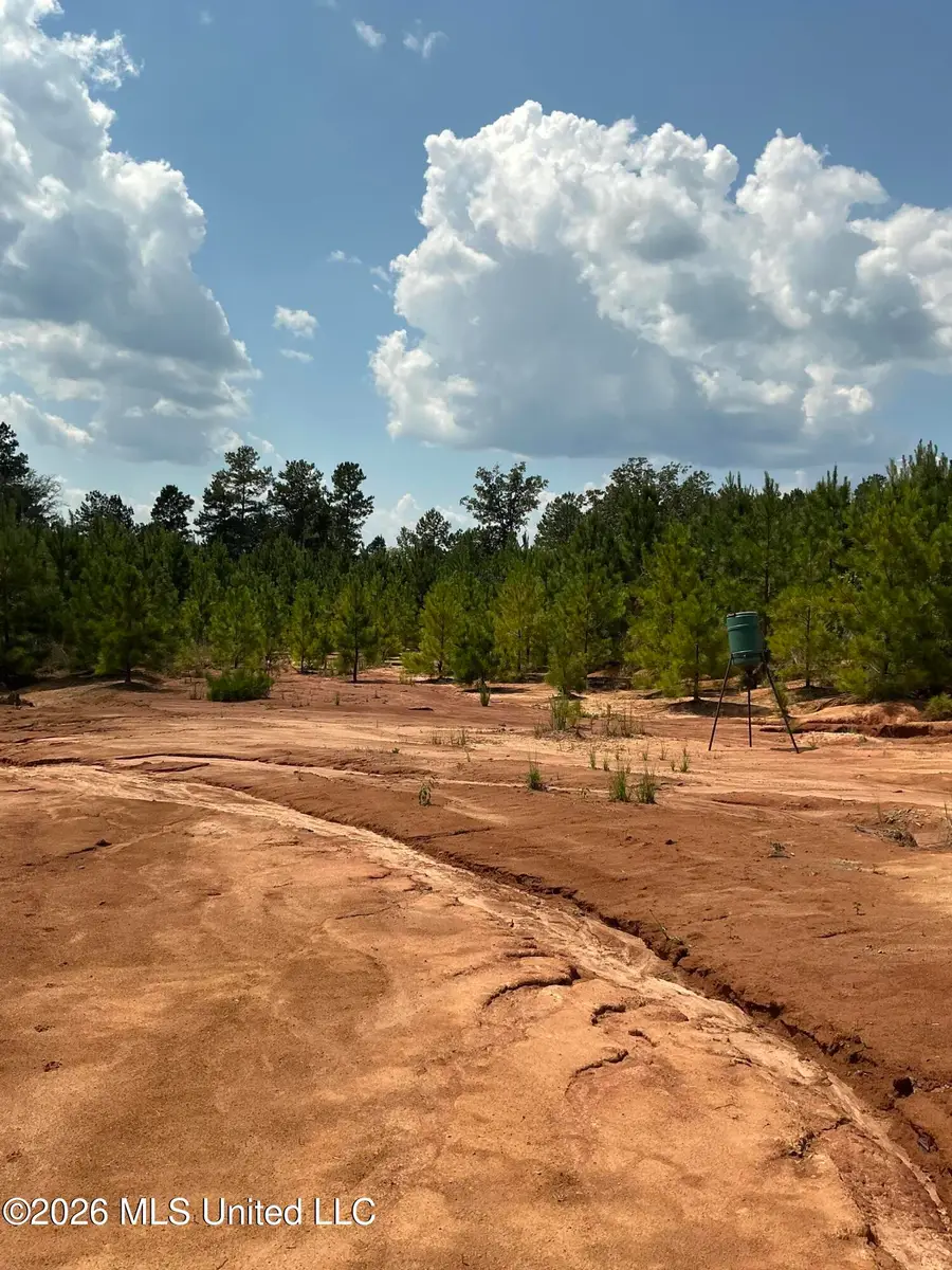 Smithtown Road, Tylertown, MS 39667 - #2