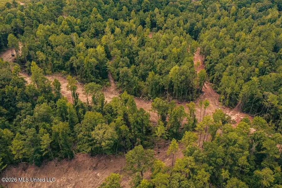 3 Smyrna Road Sw, Meadville, MS 39653 - #2