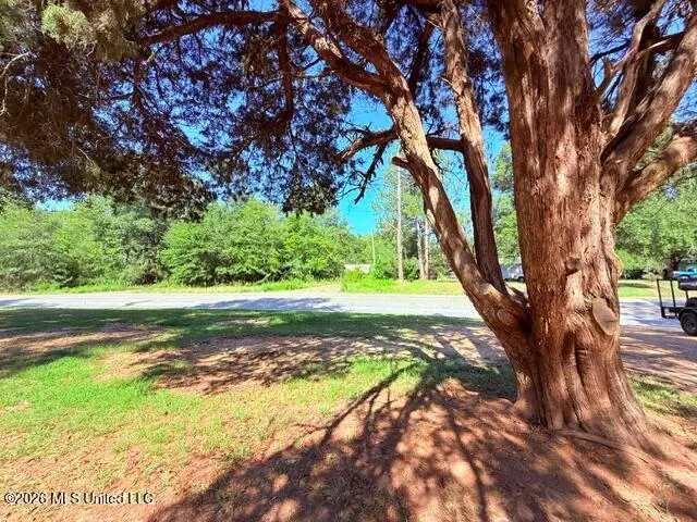 196 Ms-27, Tylertown, MS 39667 - #3
