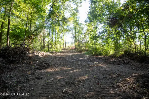 Owen Boone Road, Puckett, MS 39042