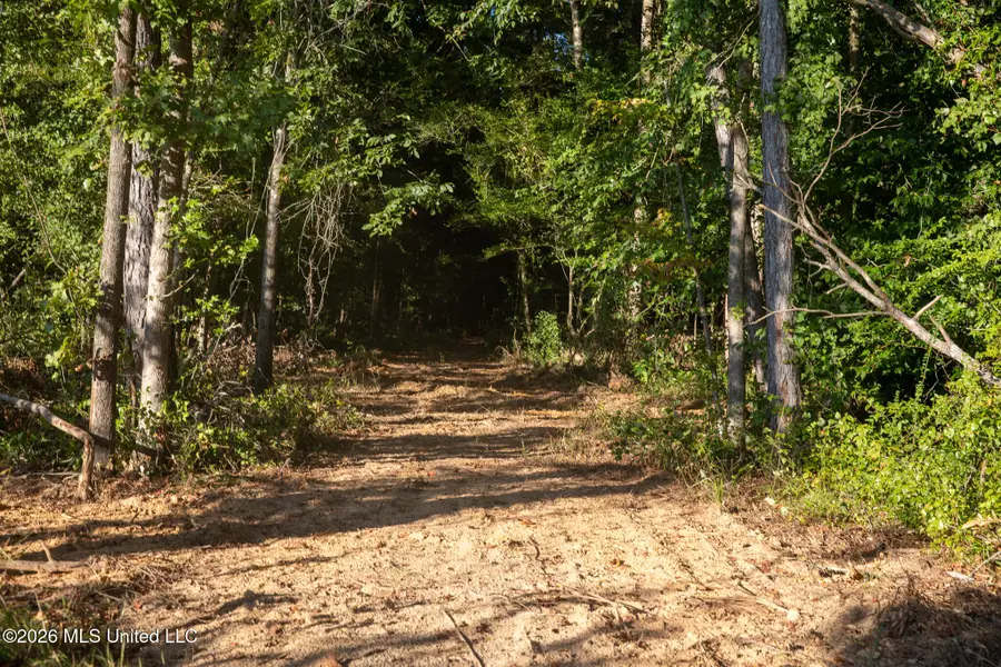 Owen Boone Road, Puckett, MS 39042 - #2