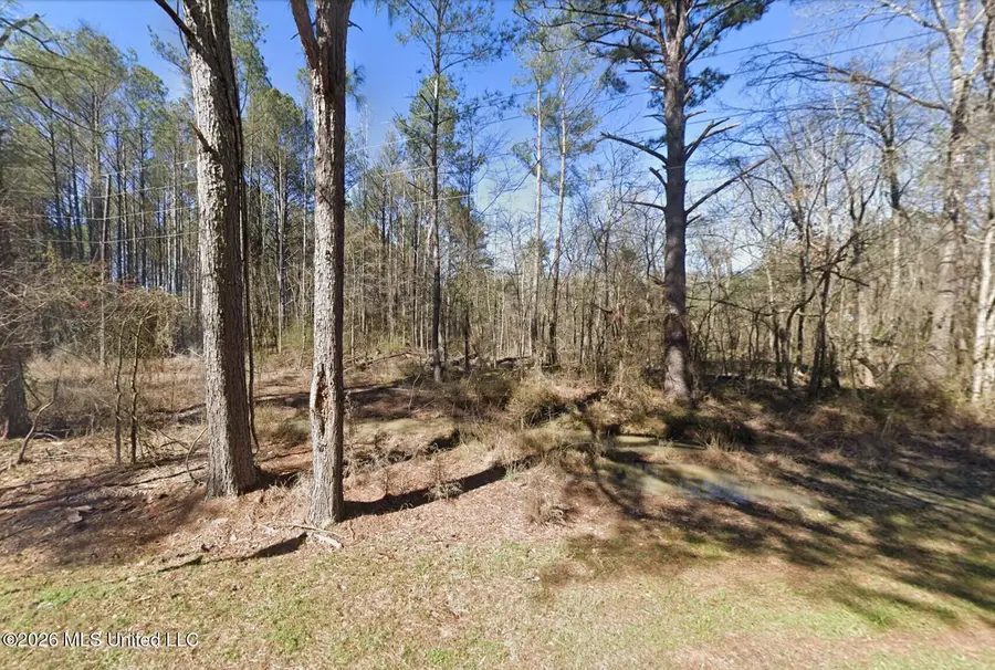 136 Mclin Lane, Brandon, MS 39047 - #2