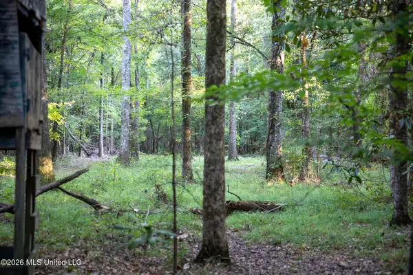 Owen Boone Rd, Puckett, MS 39042