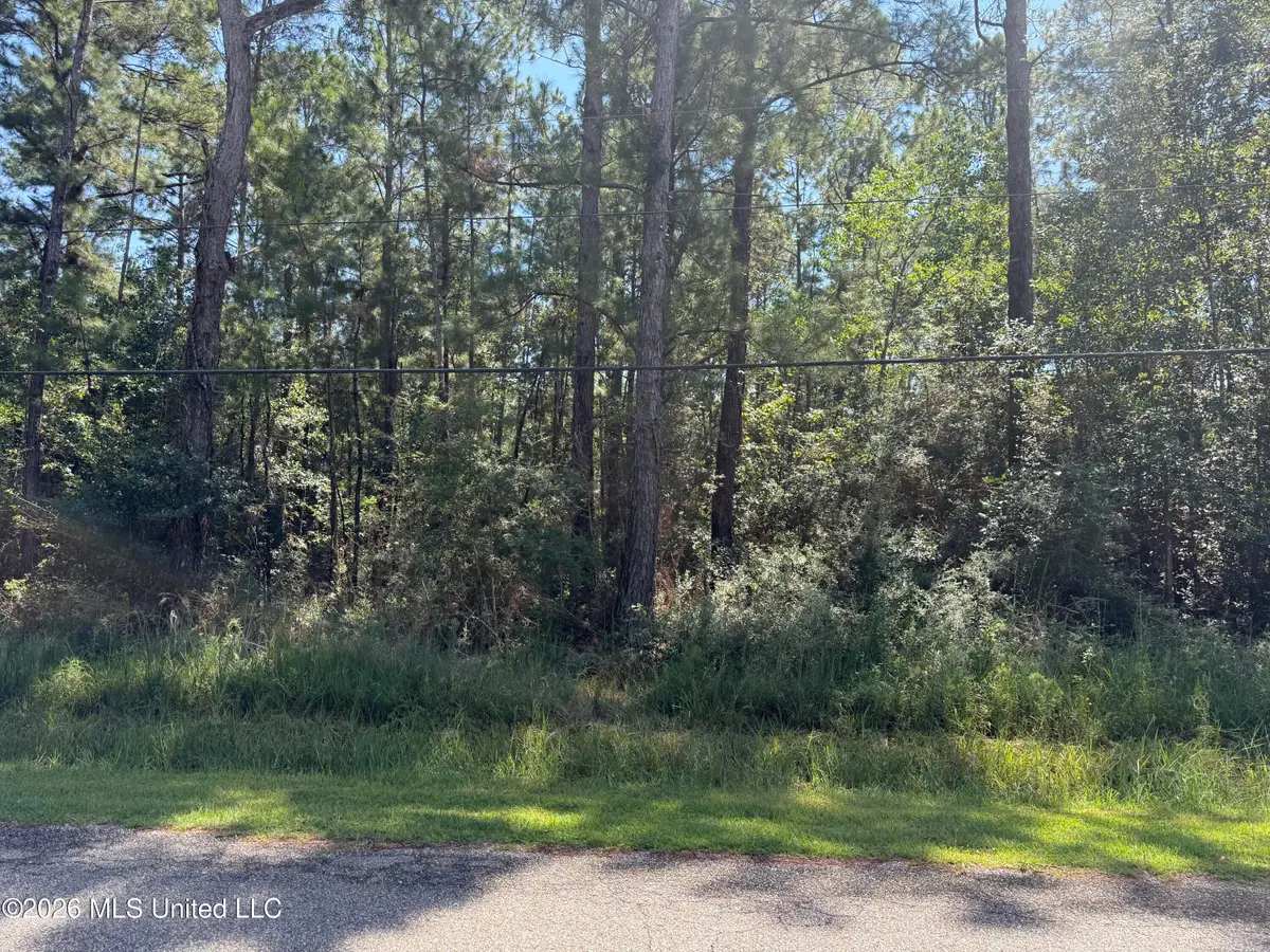 E Itawamba Street, Bay Saint Louis, MS 39520 - #1
