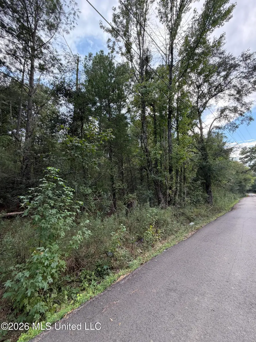 Cleo Clark Road, Canton, MS 39046 - #2