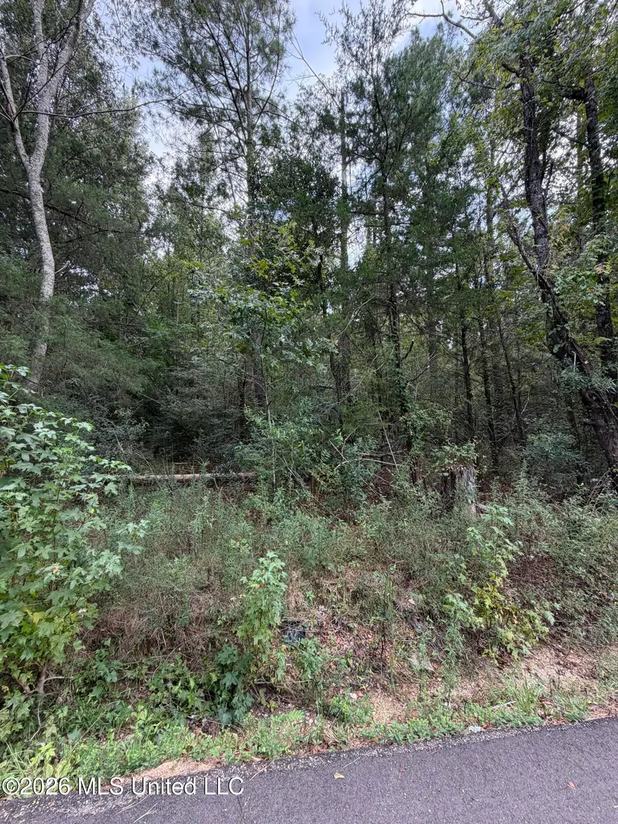Cleo Clark Road, Canton, MS 39046 - #3
