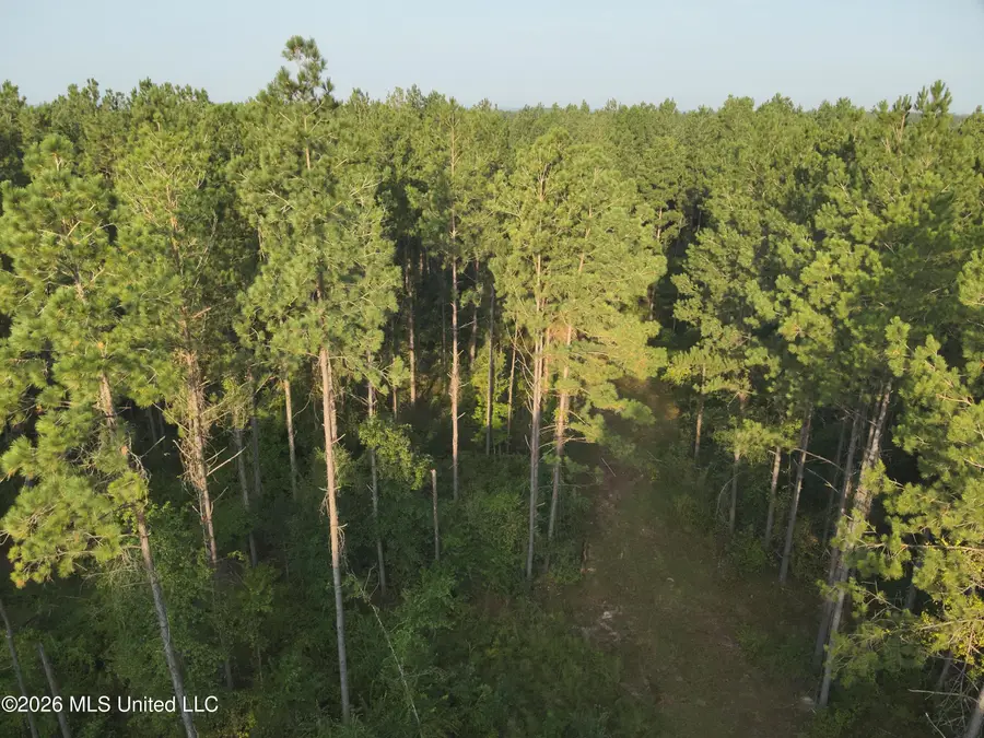 1178 Tolar Road, Oak Vale, MS 39656 - #2