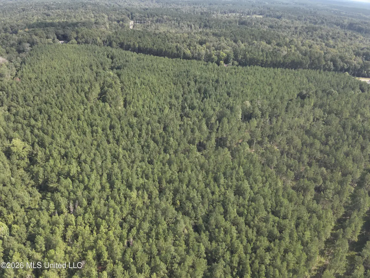 838 Ms-43, Oak Vale, MS 39656 - #1