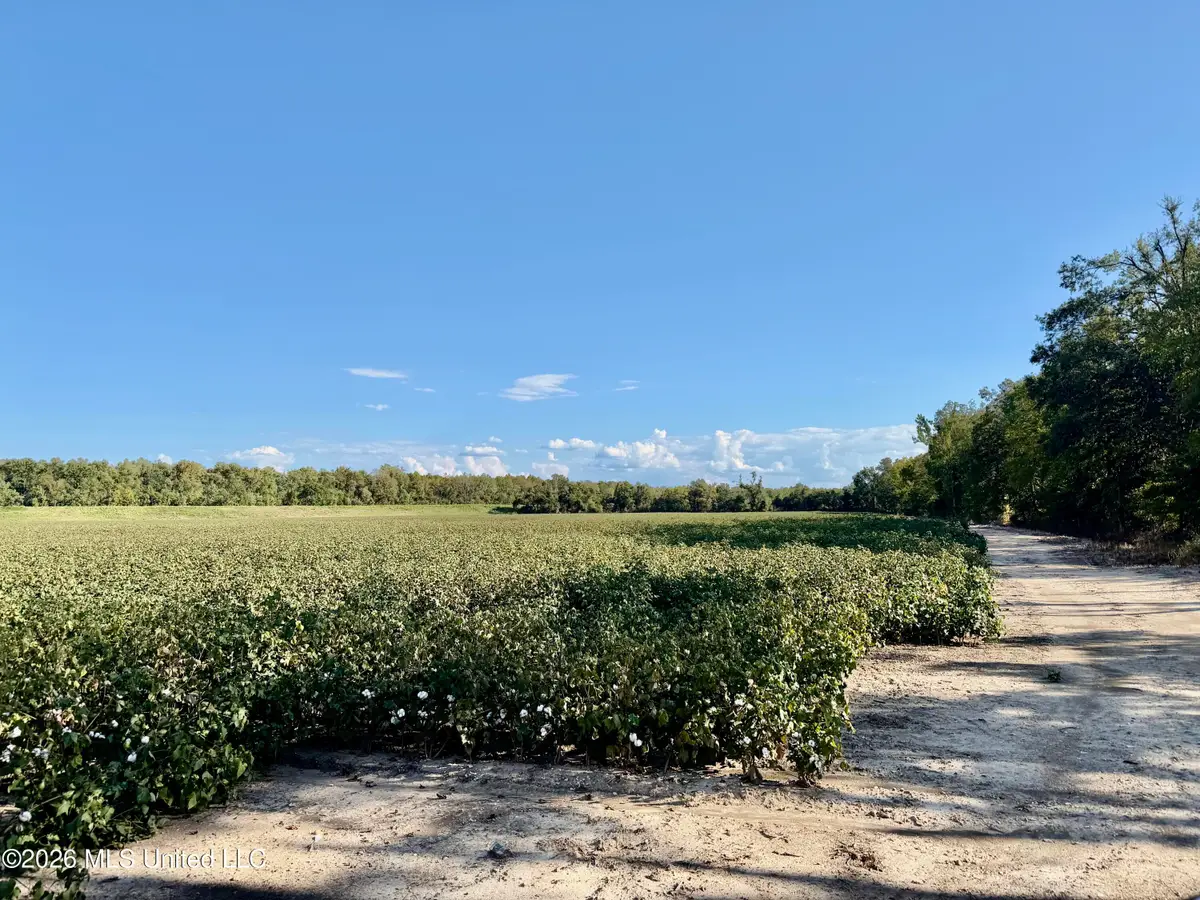 268 Warner Road, Batesville, MS 38606 - #1