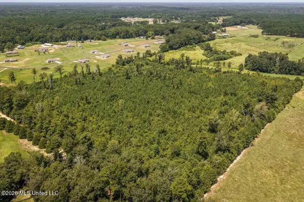 Xxx Driftwood Road, Summit, MS 39666