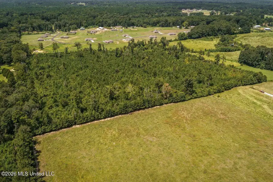 Xxx Driftwood Road, Summit, MS 39666 - #3
