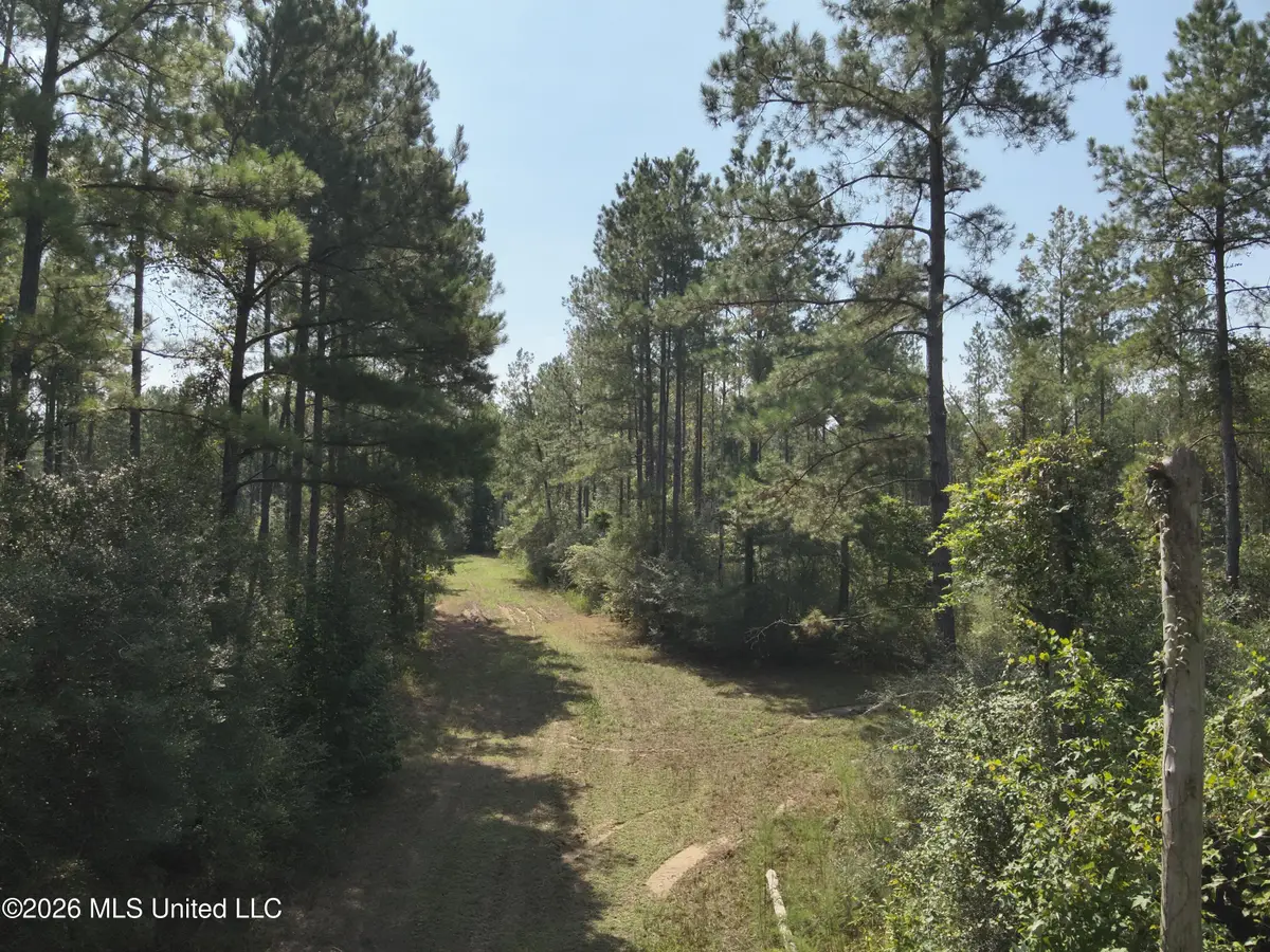40 J W Jones Road, Oak Vale, MS 39656 - #1