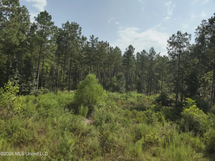 40 J W Jones Road, Oak Vale, MS 39656 - #3