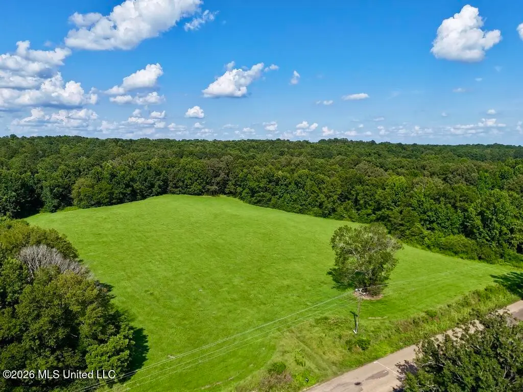 006 Monticello Road, Wesson, MS 39191 - #1