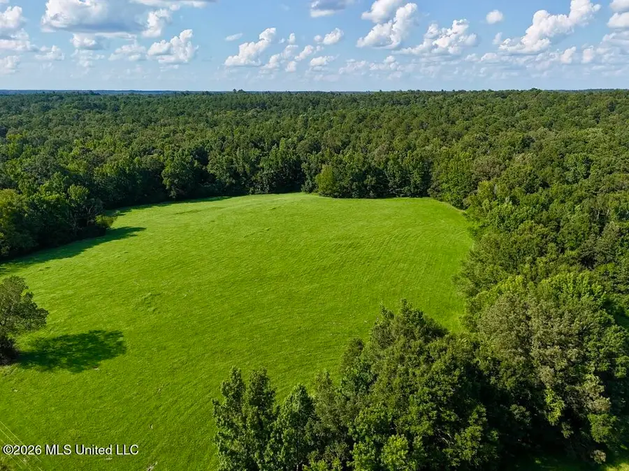 006 Monticello Road, Wesson, MS 39191 - #2