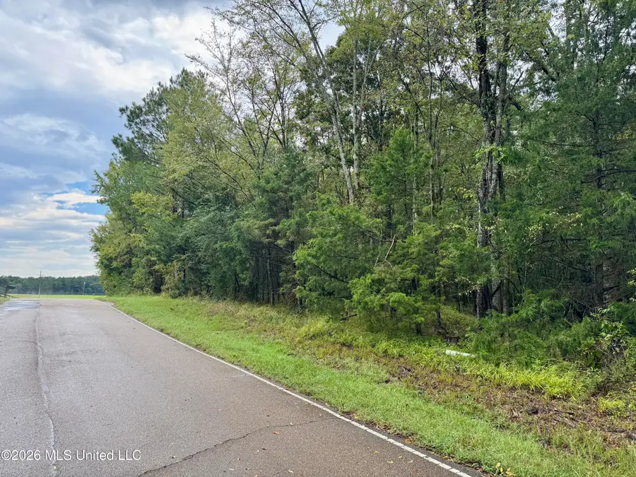 0001 Tithelo Road, Canton, MS 39046 - #2