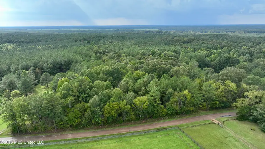 0001 Tithelo Road, Canton, MS 39046 - #3