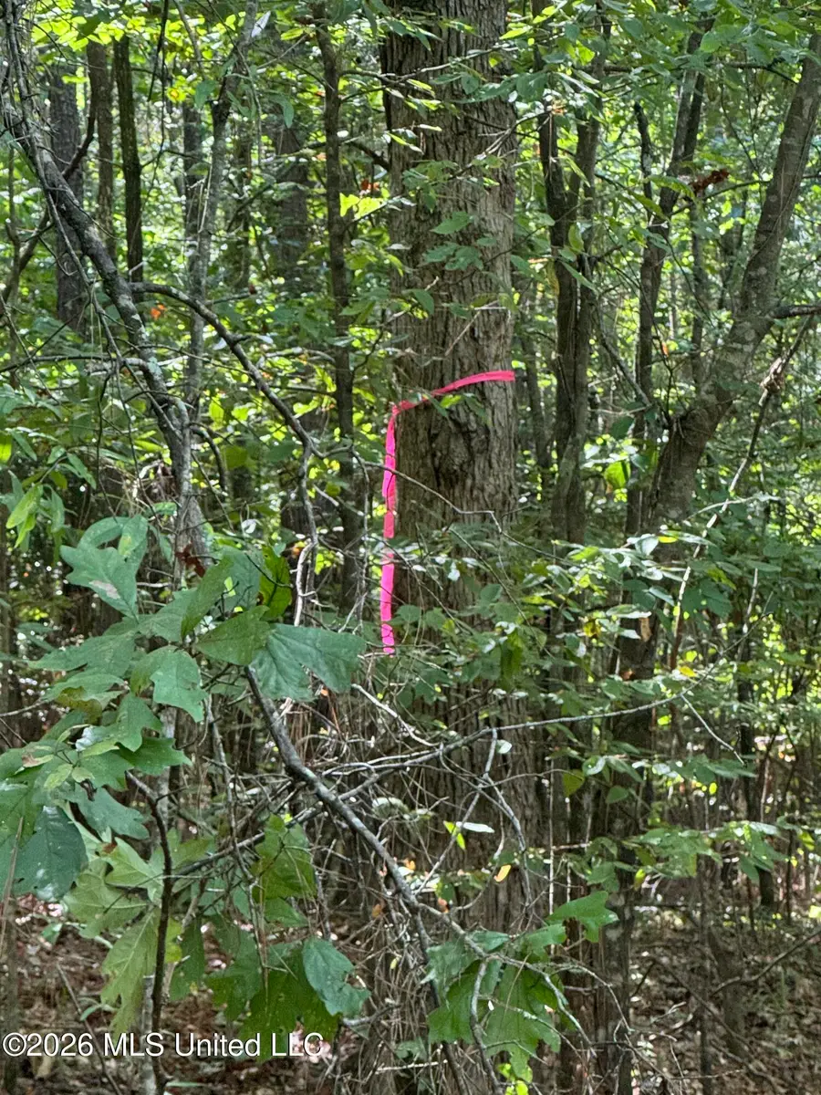 Ratliff Ferry Road, Canton, MS 39046 - #3