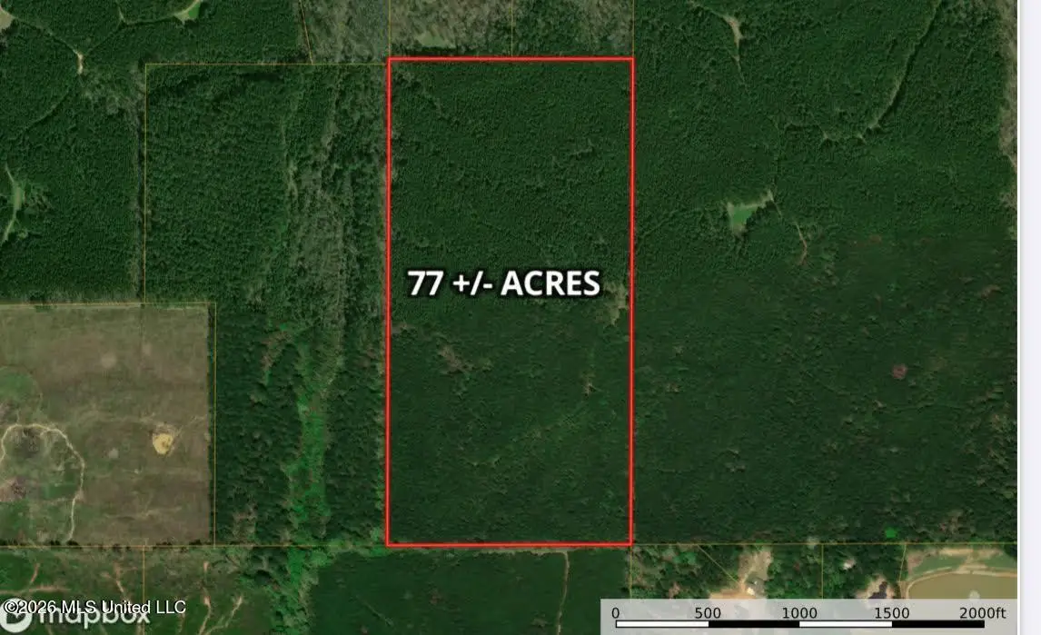 Ratliff Ferry Road, Canton, MS 39046 - #1