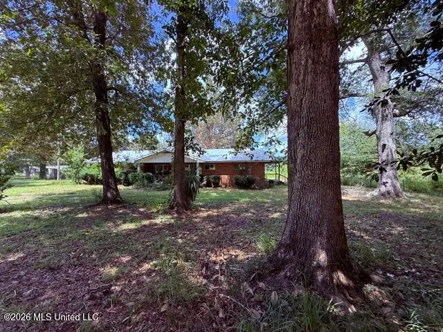 484 Allbritton Trail, Bogue Chitto, MS 39629 - #1