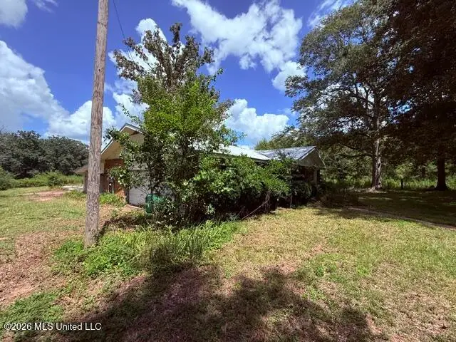 484 Allbritton Trail, Bogue Chitto, MS 39629 - #3