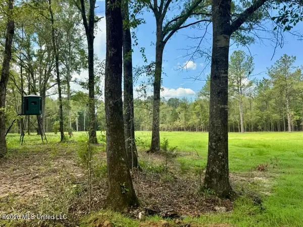 0001 Chapel Hill Road, Utica, MS 39175