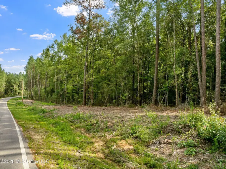 15 Acres Porter Hudson Road, Sumrall, MS 39482 - #2