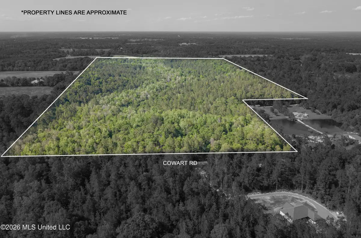 0 Cowart Road, Lucedale, MS 39452 - #1