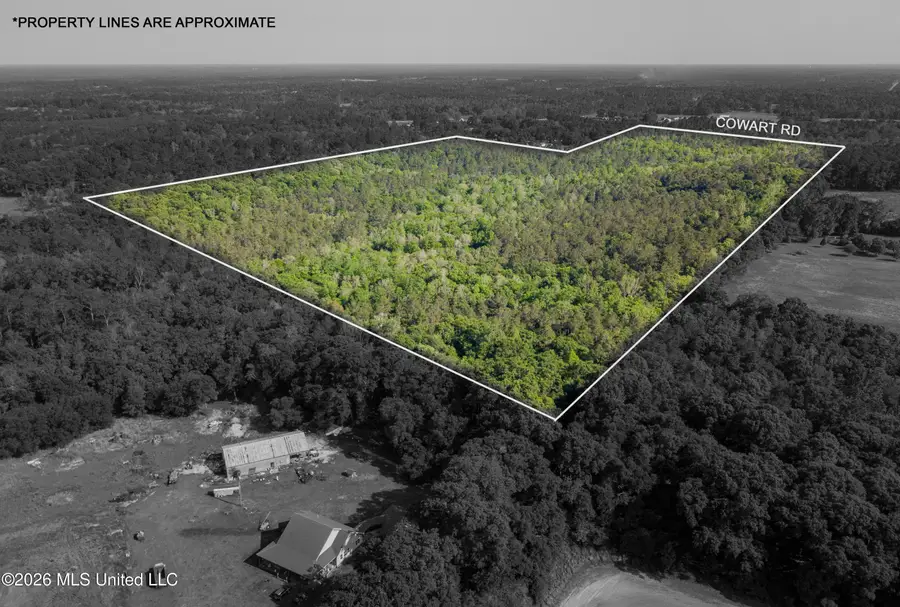 0 Cowart Road, Lucedale, MS 39452 - #3