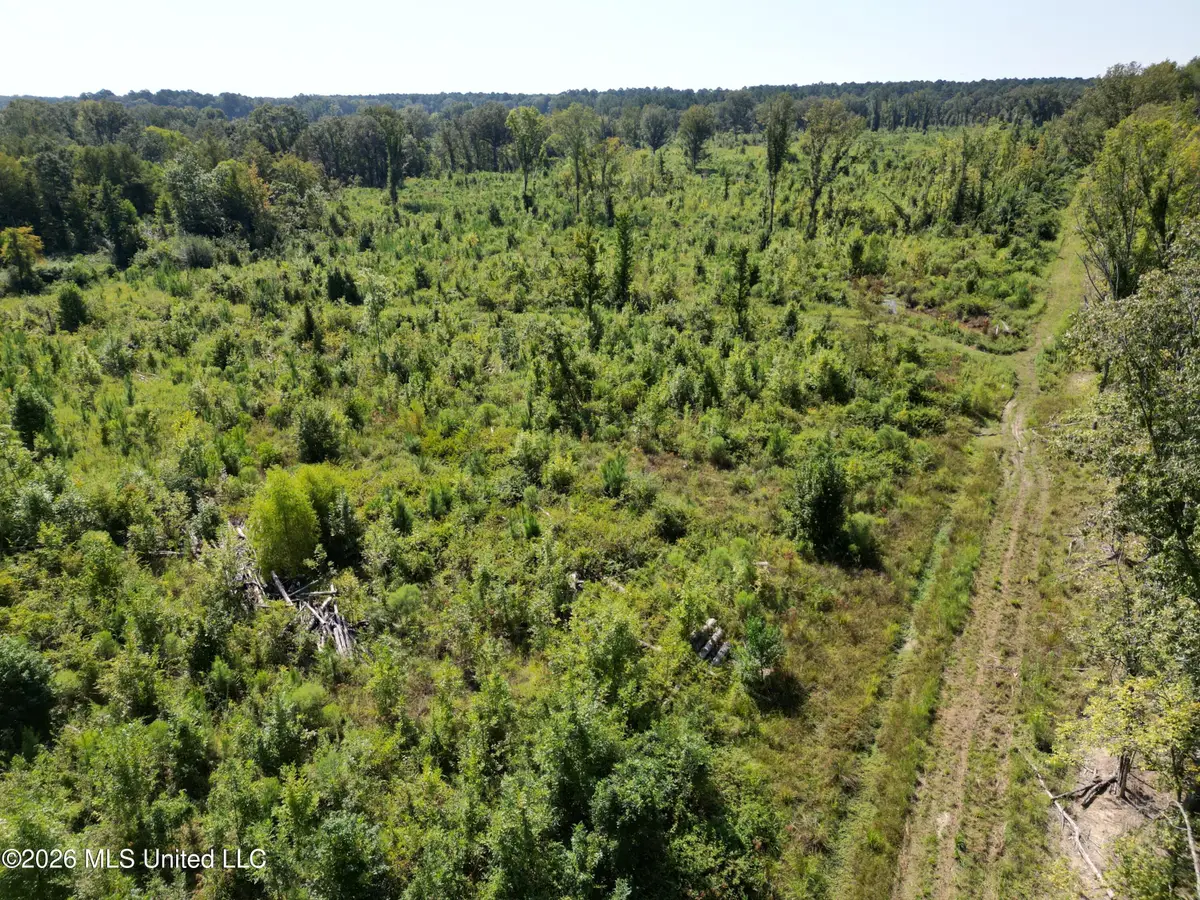 0 E Doc Clark Road, Morton, MS 39117 - #1