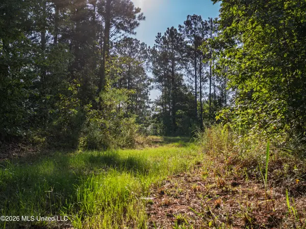 Attala Road 3053, Kosciusko, MS 39090