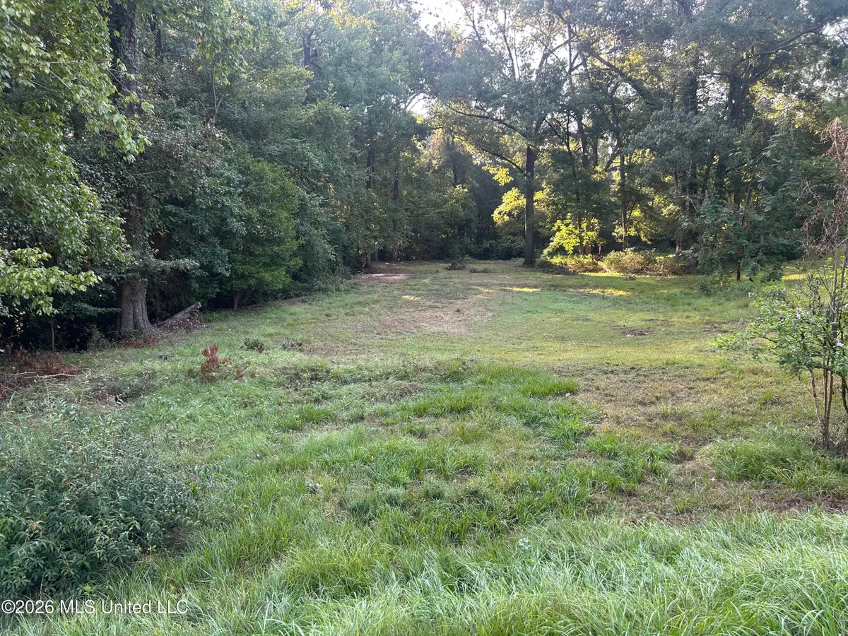 77a Magnolia Acres Road, Natchez, MS 39120 - #1