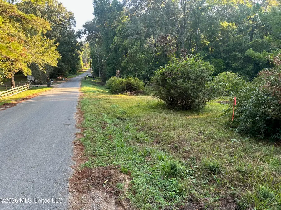 77a Magnolia Acres Road, Natchez, MS 39120 - #2