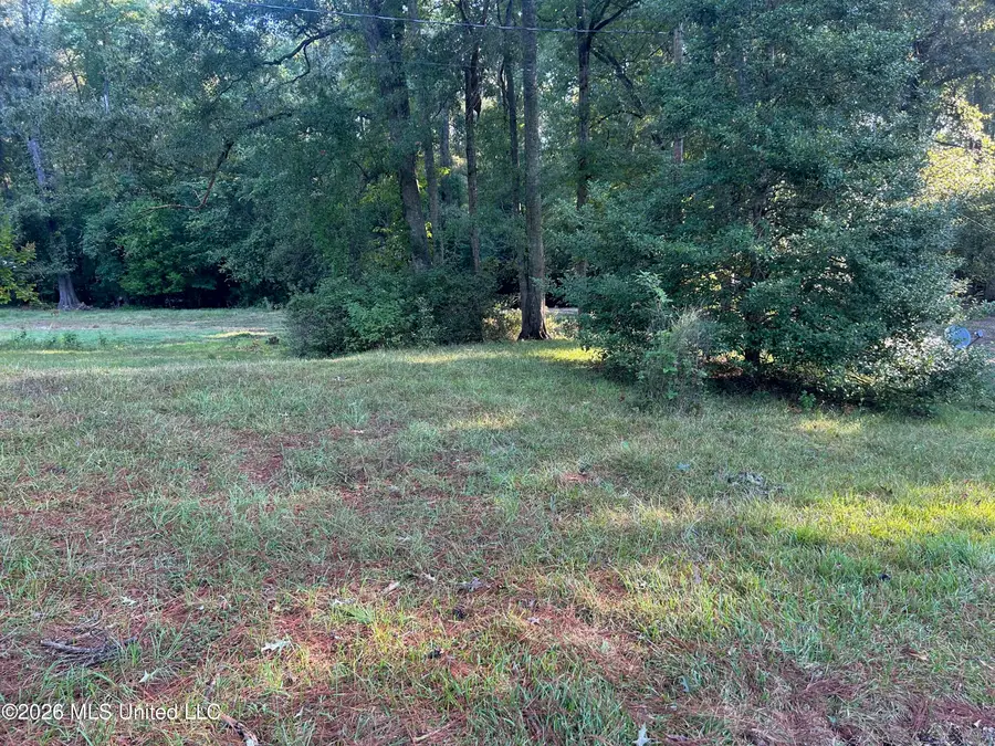 77a Magnolia Acres Road, Natchez, MS 39120 - #3