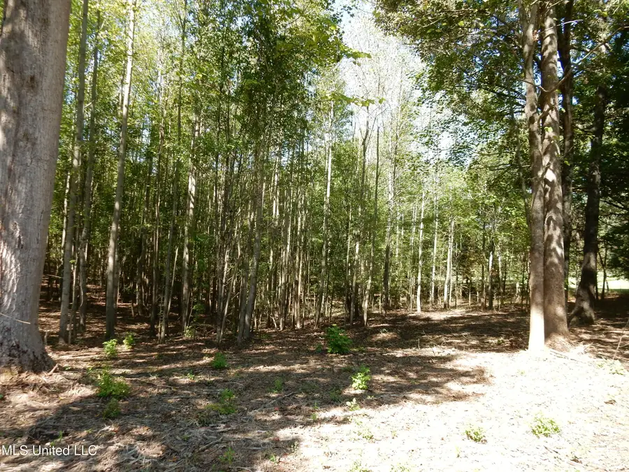 Lot 1 Cypress Corner Road, Senatobia, MS 38668 - #2