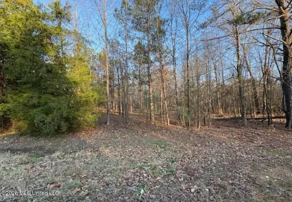 1397 Gravel Springs Road, Senatobia, MS 38668