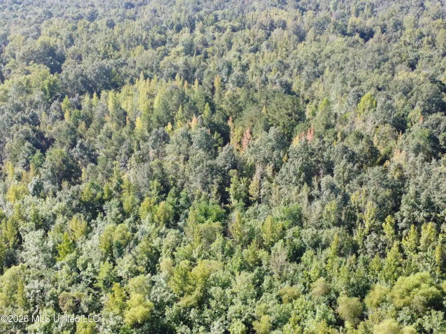 469 469 Lot #3 Pearl Drive, Pearl, MS 39208 - #2