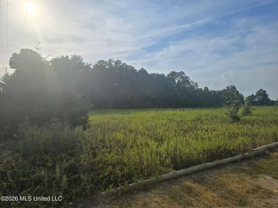 Walker Road, Cleveland, MS 38732 - #3