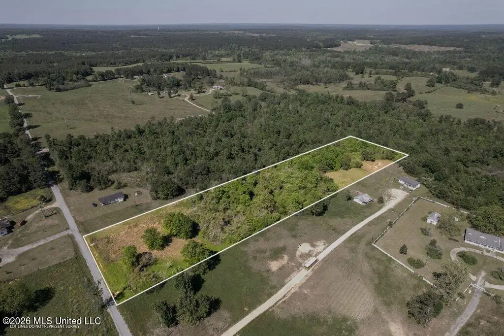 Pine View Road, Collins, MS 39428 - #1