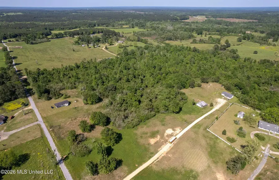 Pine View Road, Collins, MS 39428 - #2