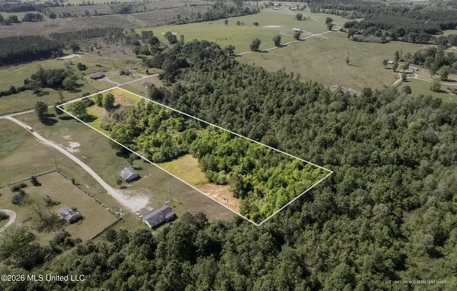 Pine View Road, Collins, MS 39428 - #3