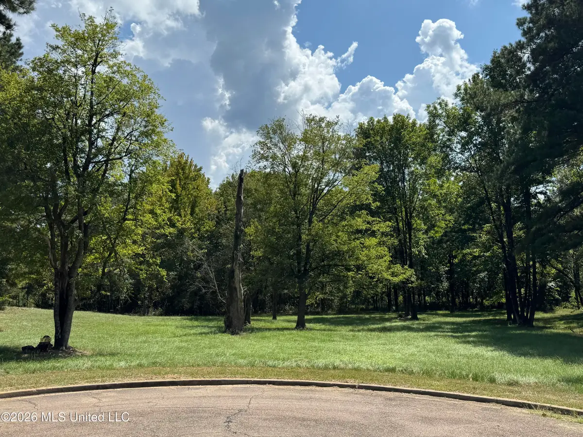 119 Bristol Drive, Madison, MS 39110 - #1