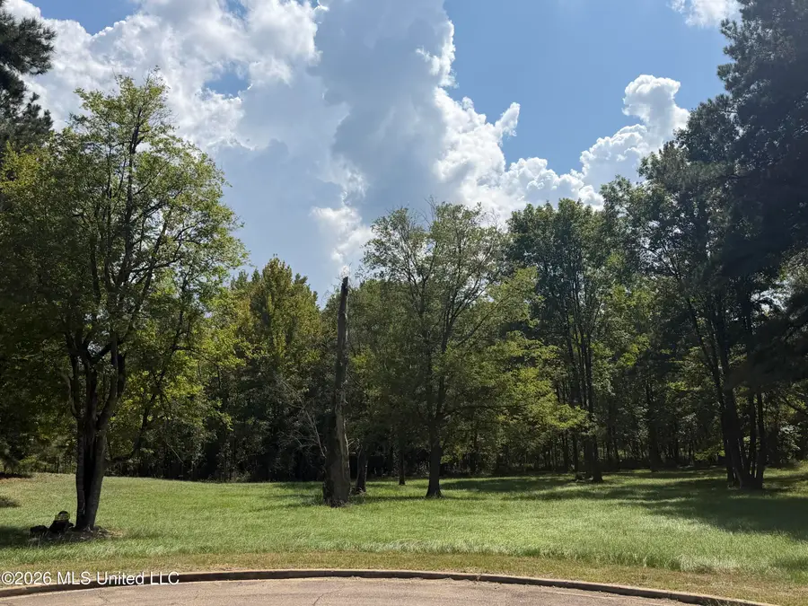 119 Bristol Drive, Madison, MS 39110 - #2