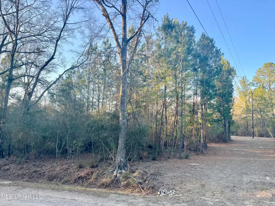 0 Road 522, Saucier, MS 39574 - #2