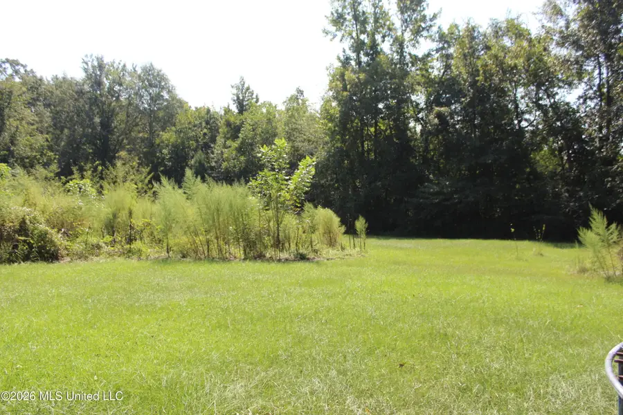 2115 Gene Road, Brookhaven, MS 39601 - #3