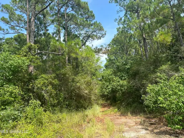0 Duke Street, Pass Christian, MS 39571