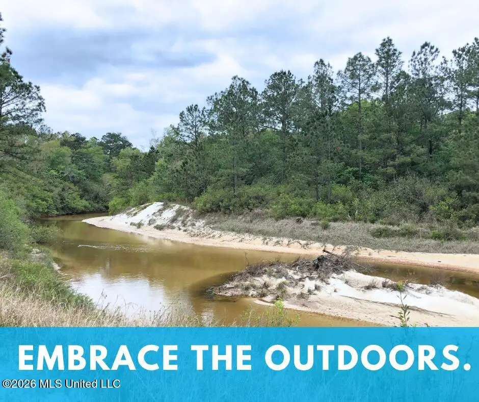 Jericho Road, Vancleave, MS 39565 - #1
