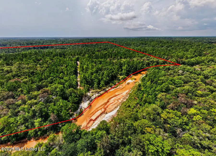 Jericho Road, Vancleave, MS 39565 - #3