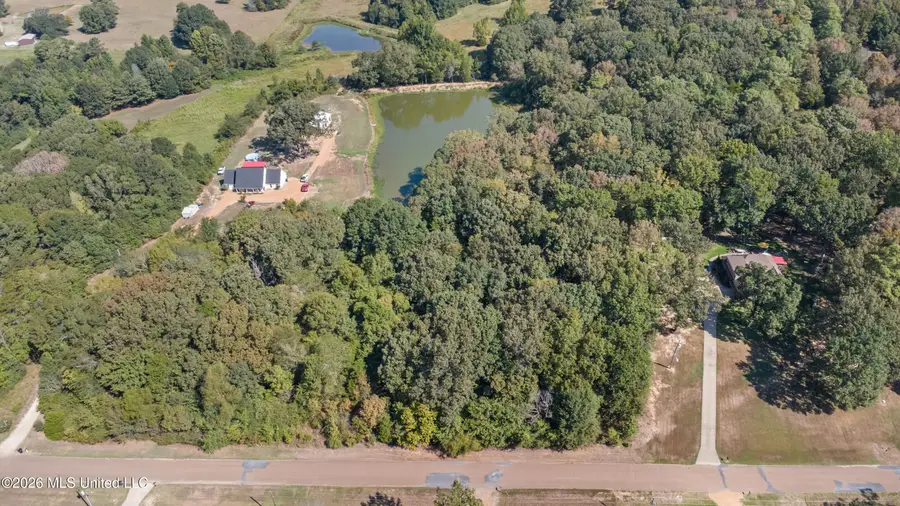 115 Cherrydale Drive, Coldwater, MS 38618 - #2