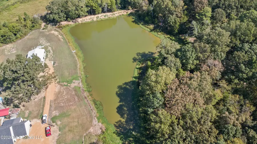 115 Cherrydale Drive, Coldwater, MS 38618 - #3